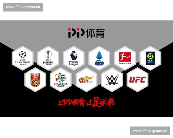 最新体育赛事高清直播在线观看全平台聚合无延迟体验 - 副本 - 副本 (2)