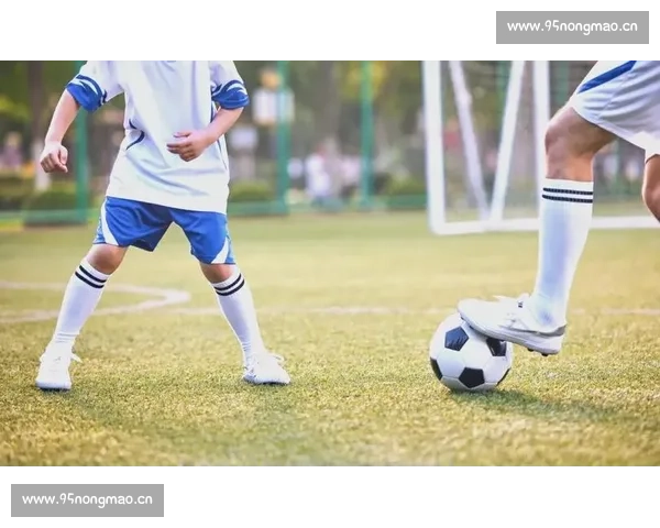 新手入门指南:适合观看的足球赛事推荐及观赛技巧 - 副本 (3)