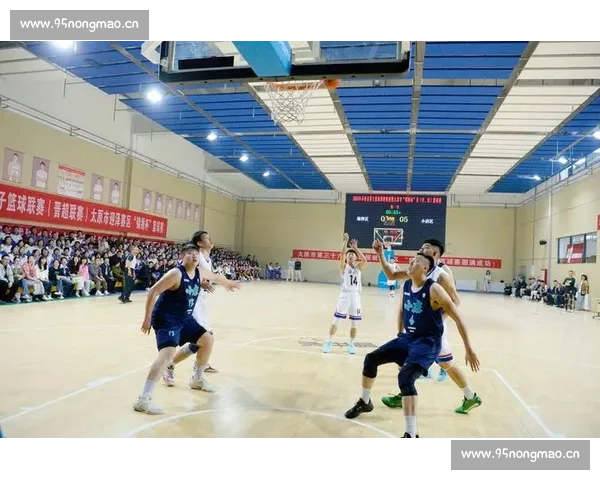 篮球赛事多线路直播全程覆盖精彩瞬间不同角度深度解析引领球迷新体验